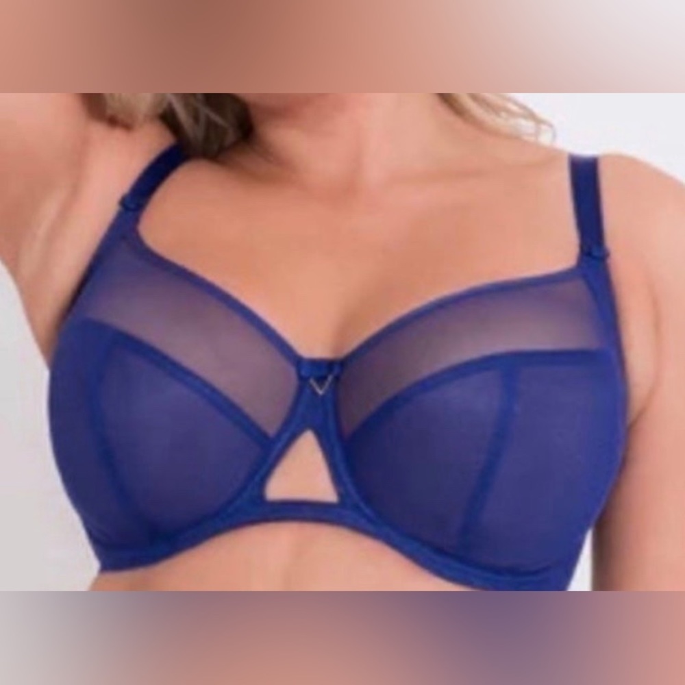 #391 - NWT Curvy Kate “Victory” Balcony Underwire Bra, “UltraViolet” SIZE 34K